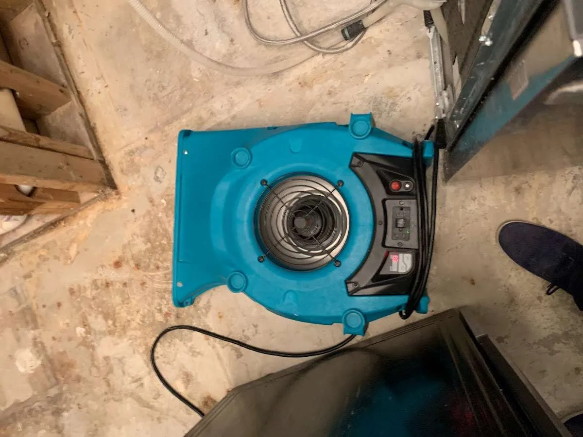 Air mover drying equipment for Mold Remediation & Removal in Highland Park